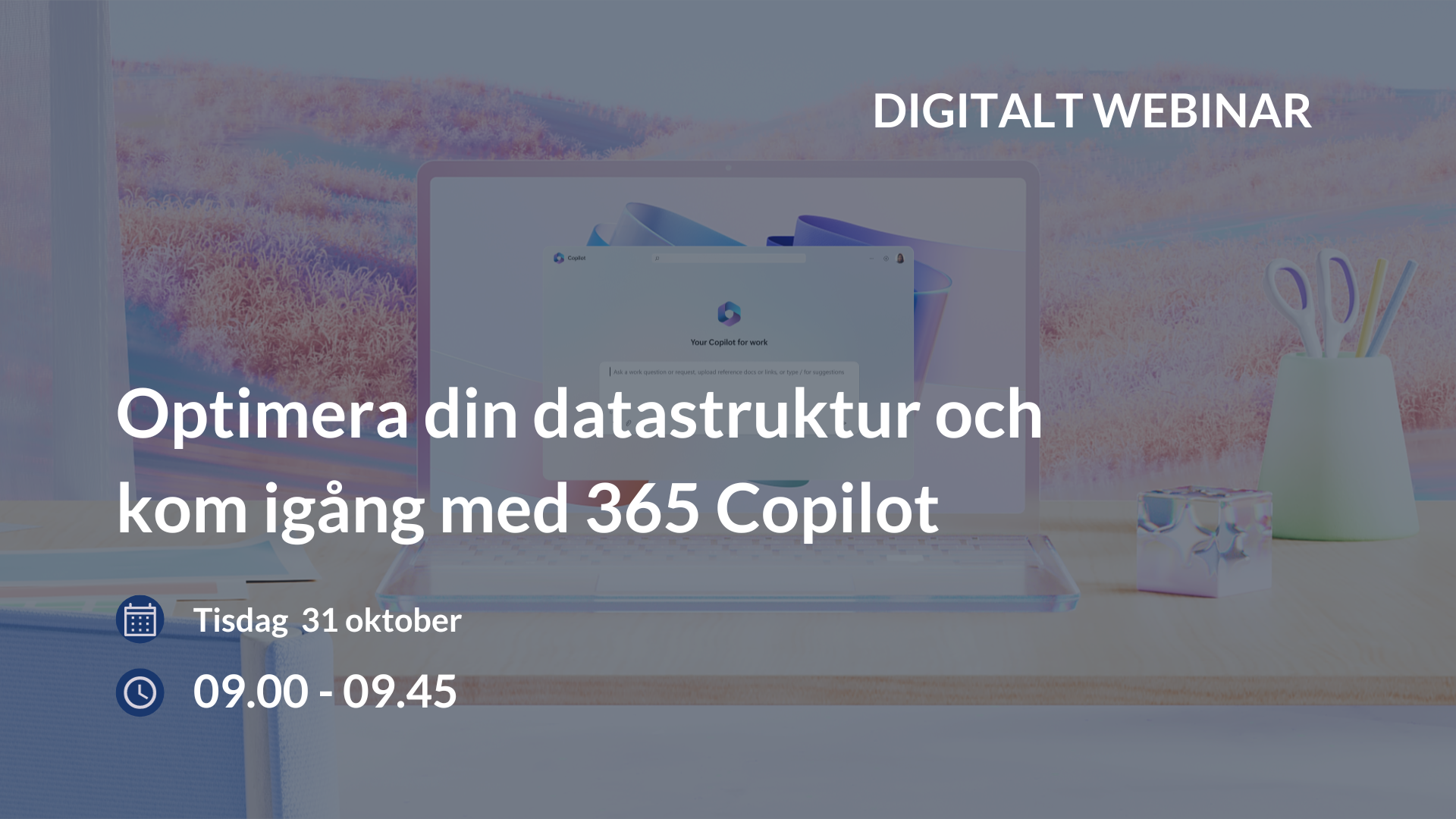 Webinar – ZellyNY
